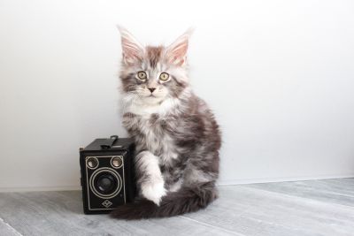 Coco Chanel